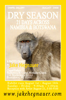 Dry Season - 21 Days across Namibia and Botswana